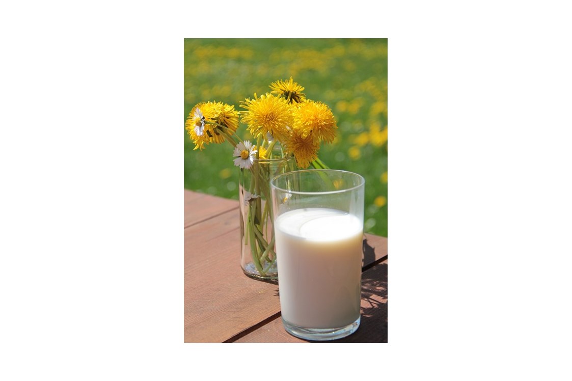 Glamping: Urlaub auf dem Bauernhof. Auf unserem vollbewirtschafteten Milchviehbetrieb können Sie das Melken und Füttern täglich miterleben. - Ur Laub`s Hof